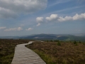 northern way 115