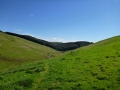 northern way 213