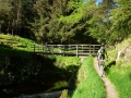 northern way 224