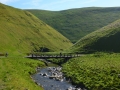 northern way 241