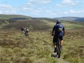 northern way 329