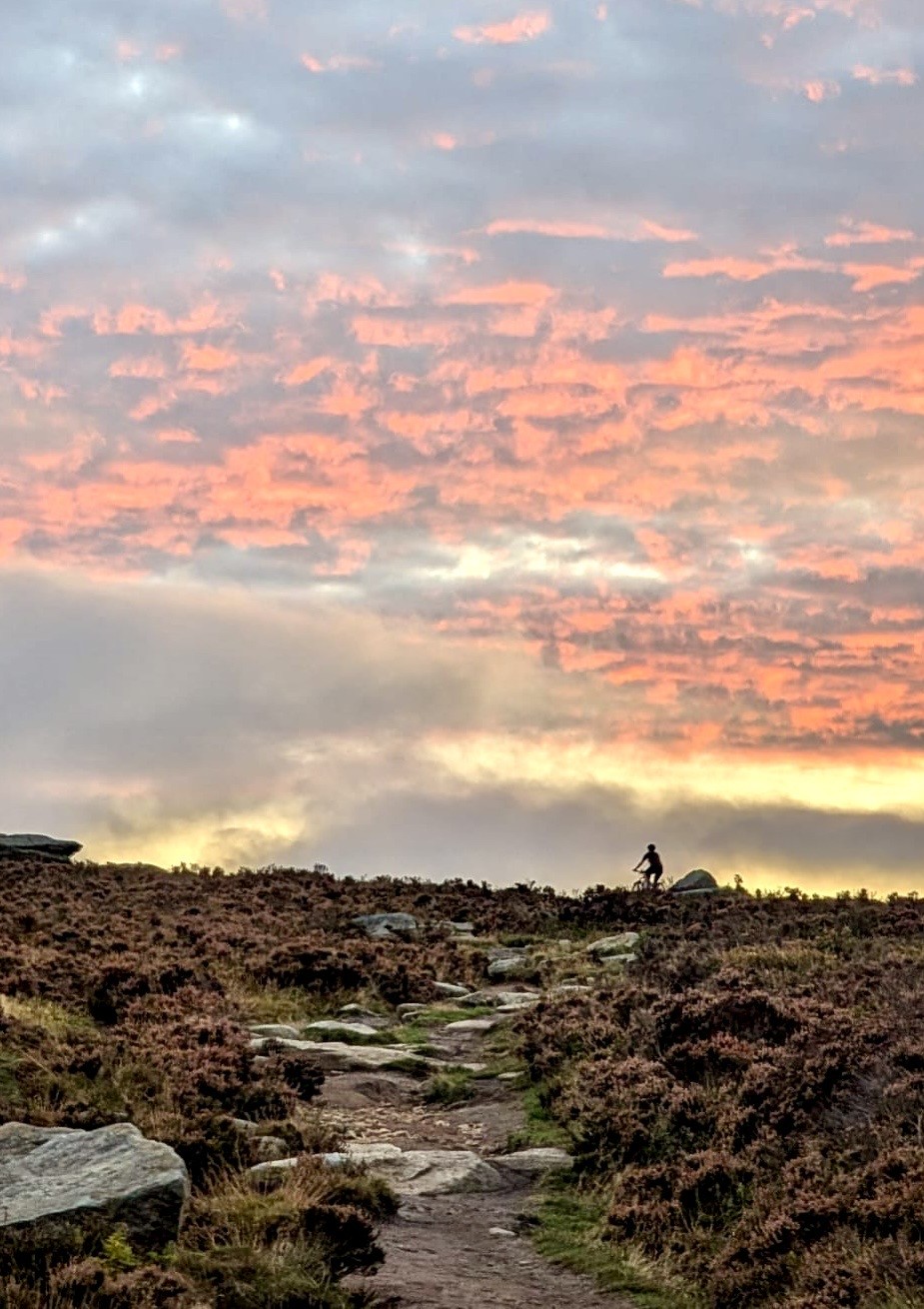 steel moors